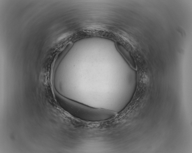 X0000110960965200907101324