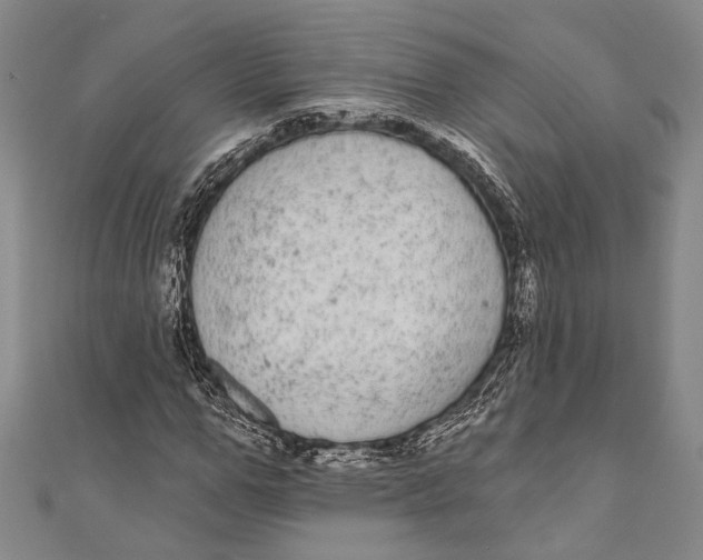 X0000110960967200907101324