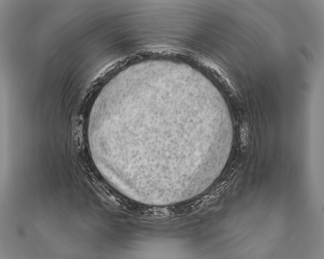 X0000110960968200907101324