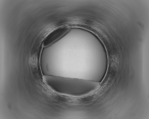 X0000110960969200907101324