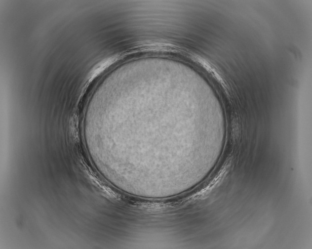 X0000110960970200907101324