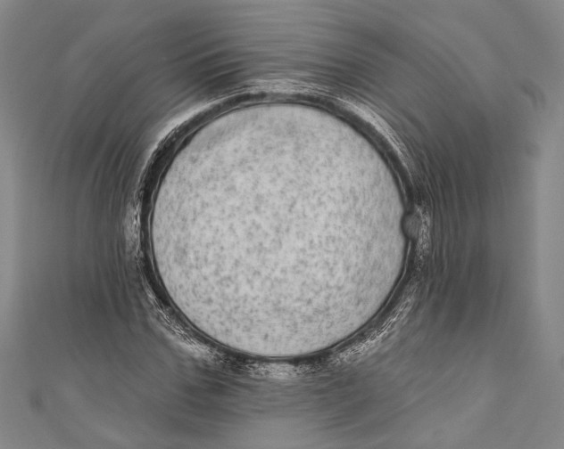 X0000110960971200907101324