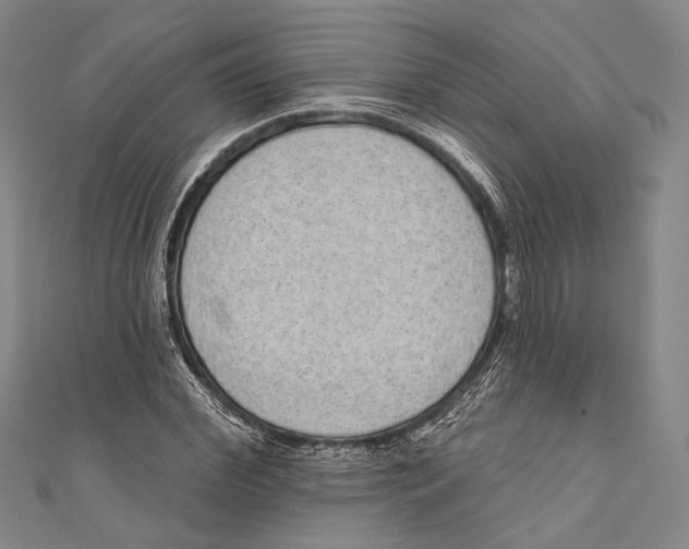 X0000110960972200907101324