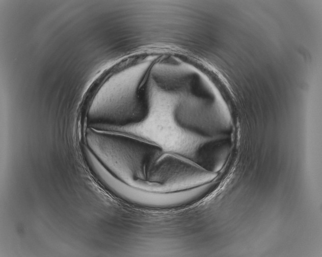 X0000110960973200907101324