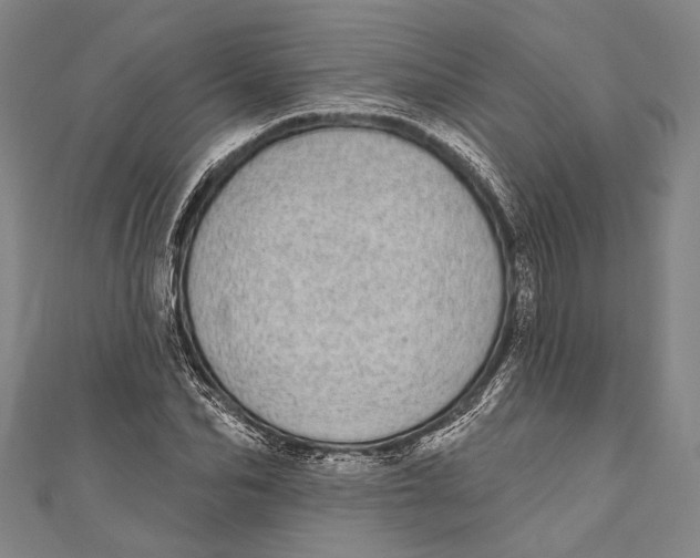 X0000110960974200907101324