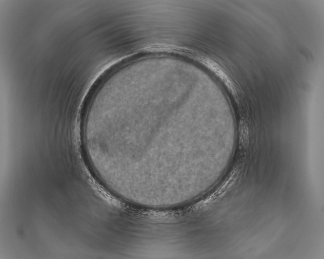 X0000110960976200907101324