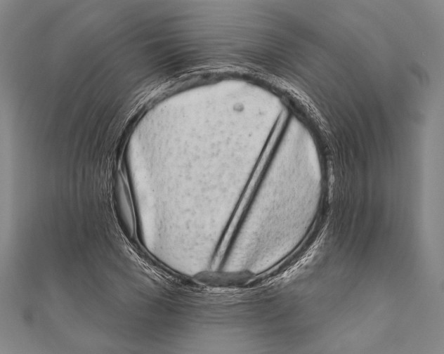 X0000110960977200907101324