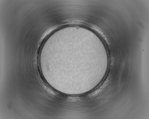 X0000110960978200907101324