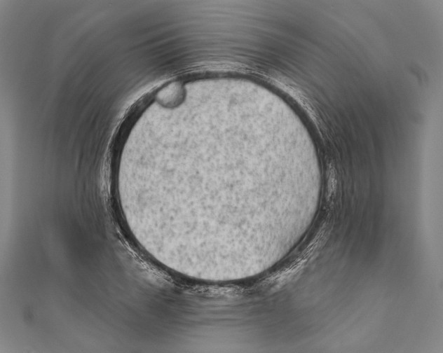 X0000110960979200907101324