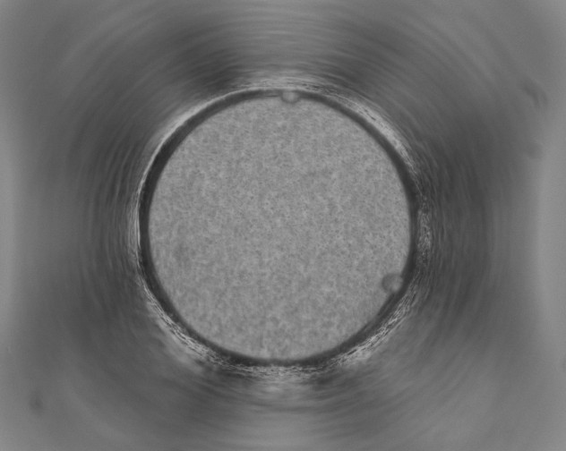 X0000110960980200907101324