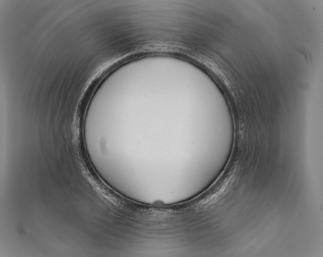 X0000110960981200907101324