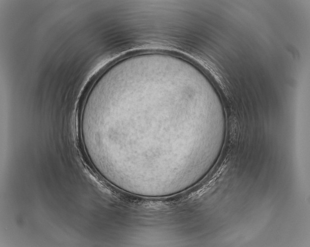 X0000110960982200907101324