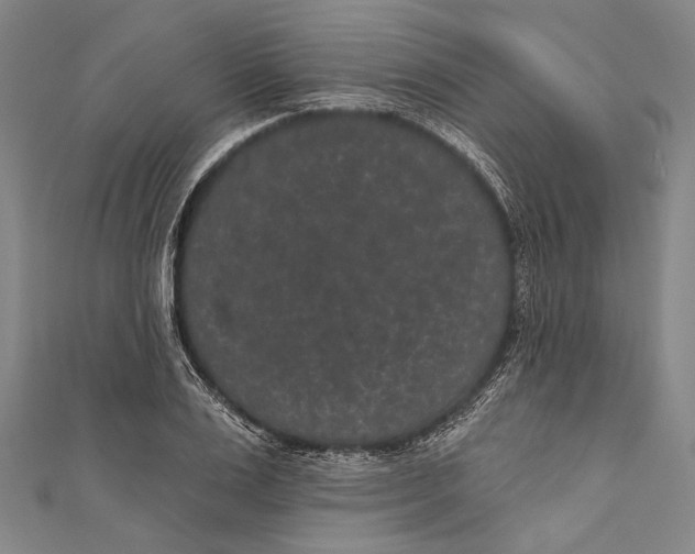 X0000110960983200907101324