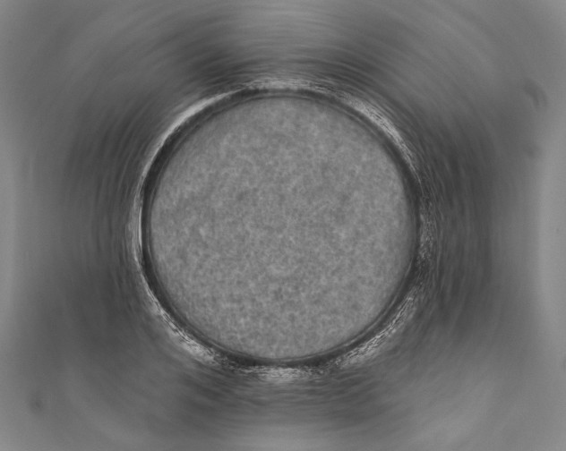 X0000110960984200907101324