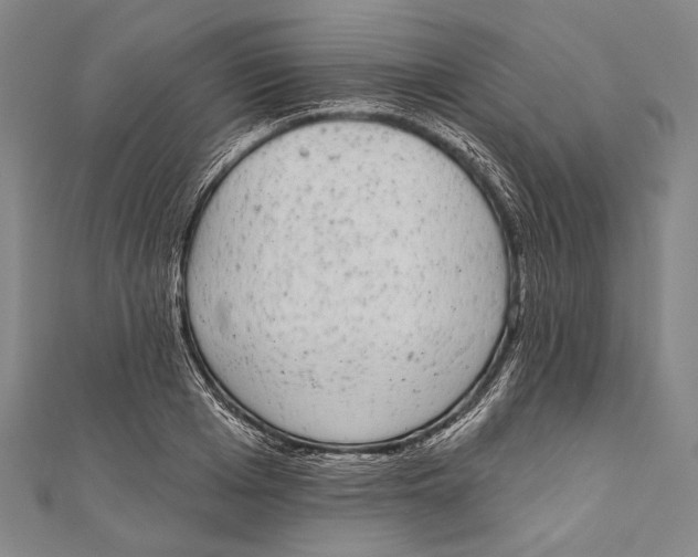 X0000110960985200907101324