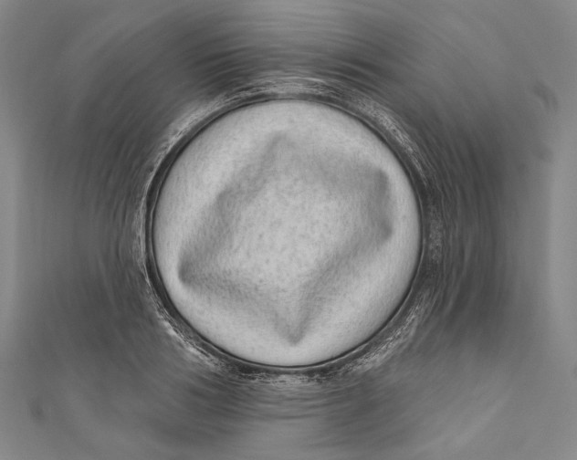 X0000110960986200907101324