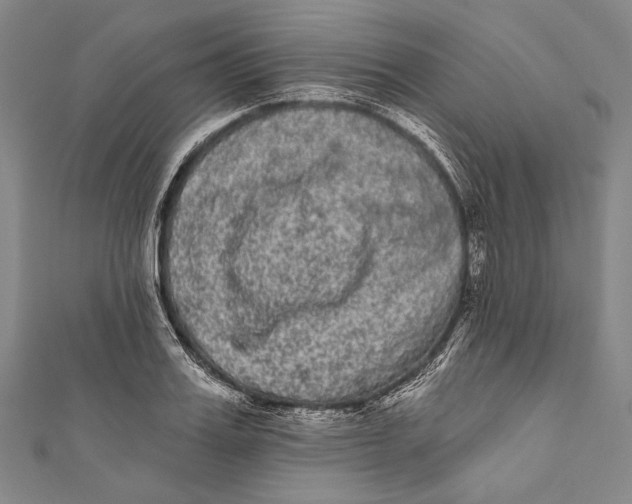 X0000110960987200907101324