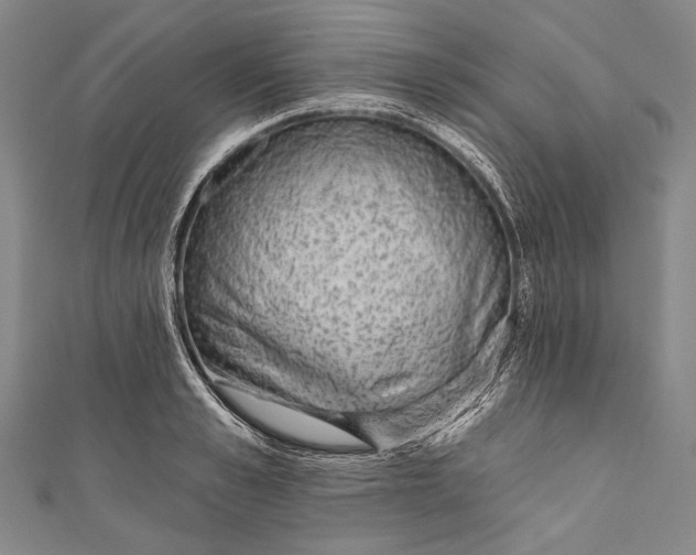 X0000110960989200907101324