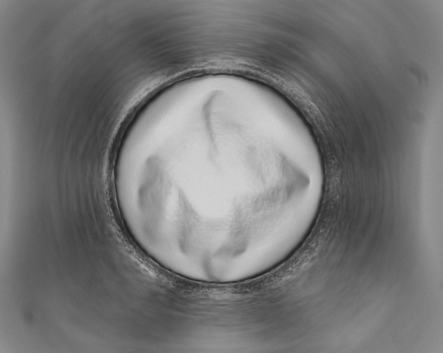 X0000110960990200907101324