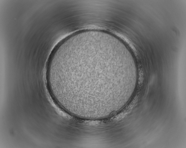 X0000110960991200907101324