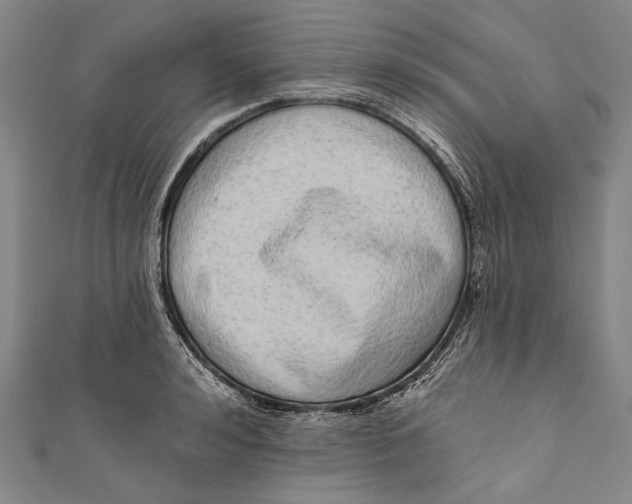 X0000110960992200907101324