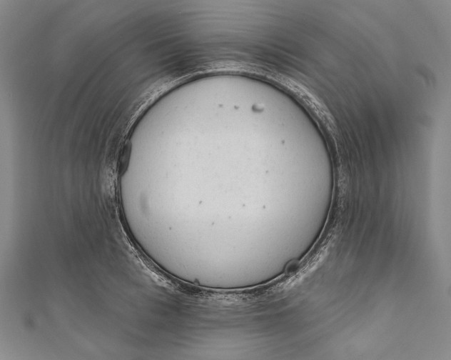 X0000110960993200907101324