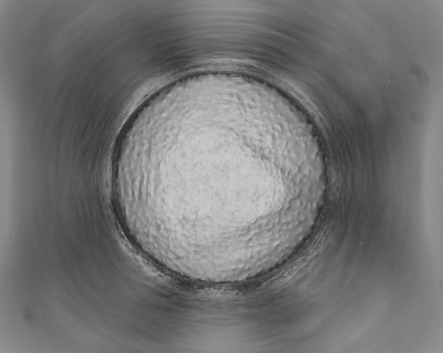 X0000110960994200907101324