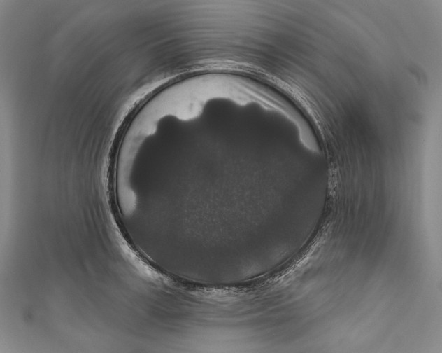 X0000110960995200907101324