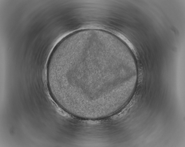 X0000110960996200907101324