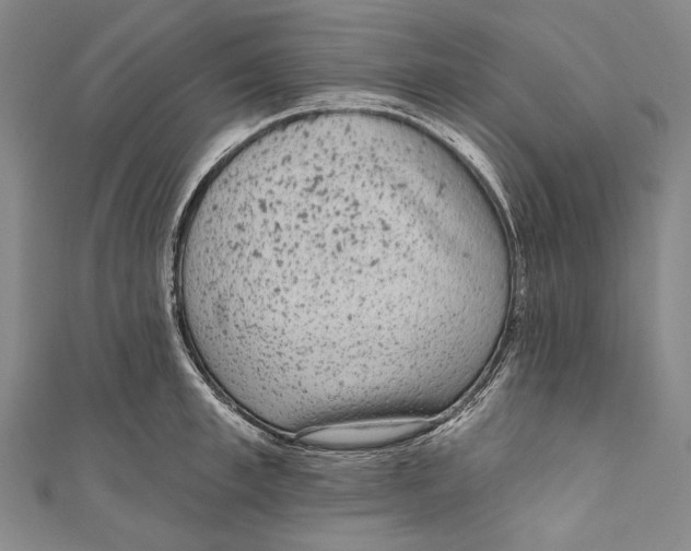 X0000110960997200907101324