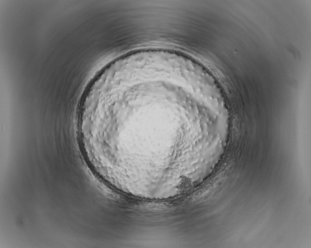 X0000110960998200907101324