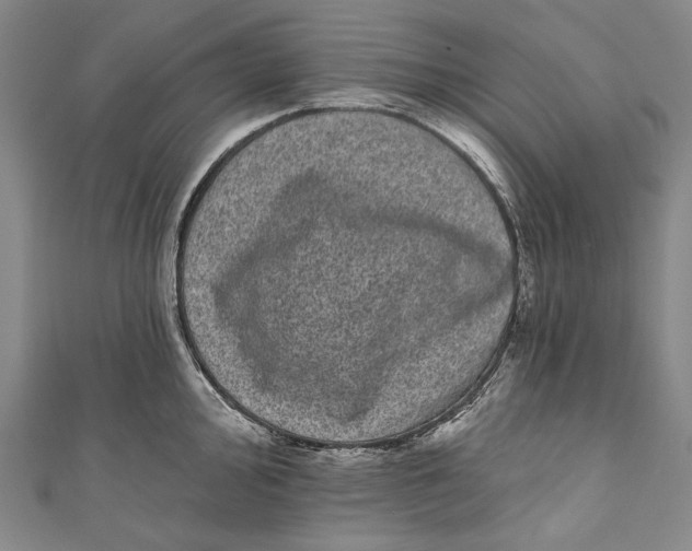 X0000110961000200907101324