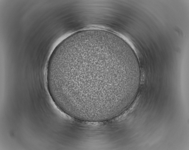 X0000110961003200907101324