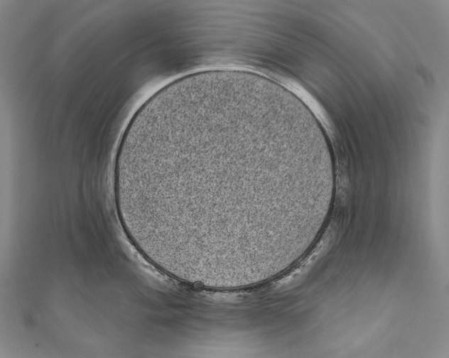 X0000110961004200907101323