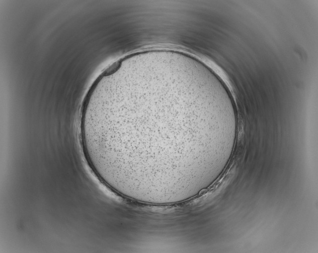 X0000110961005200907101323