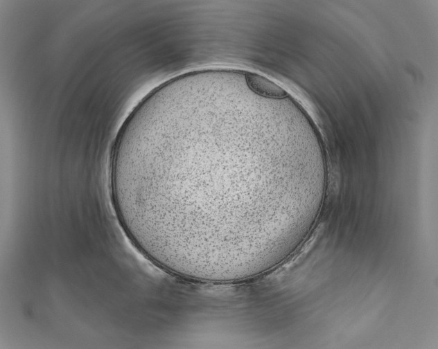 X0000110961006200907101323