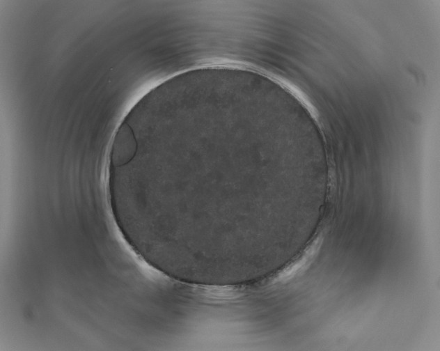 X0000110961007200907101323