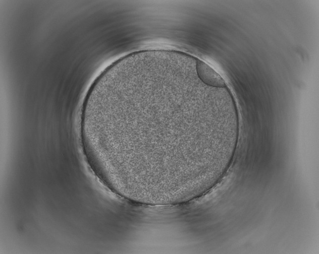 X0000110961008200907101323