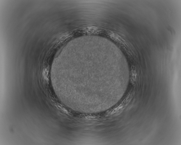 X0000110961010200907101323