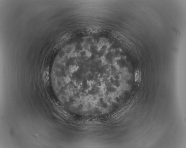 X0000110961011200907101323