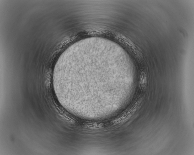 X0000110961012200907101323