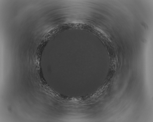 X0000110961013200907101323