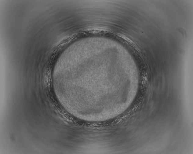 X0000110961014200907101323