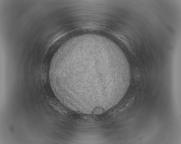 X0000110961015200907101323