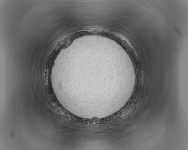 X0000110961016200907101323