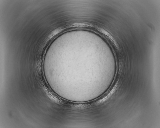 X0000110961017200907101323