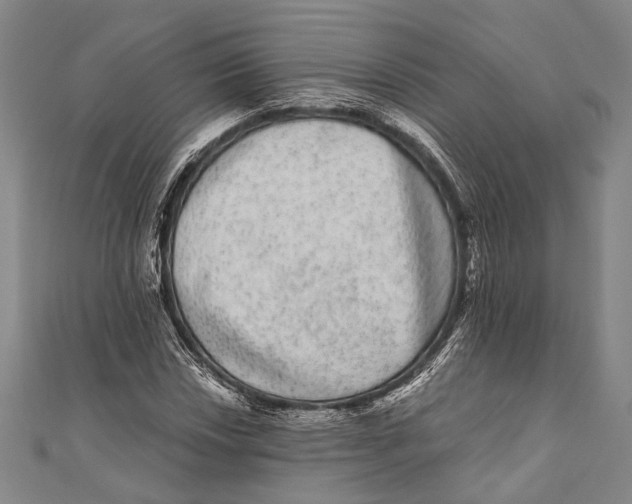 X0000110961018200907101323