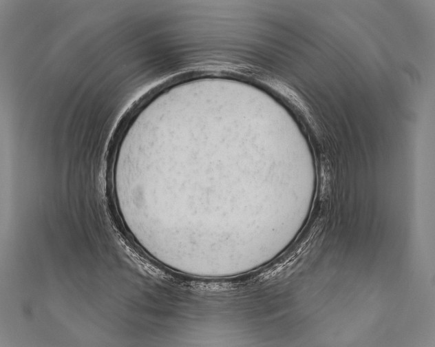 X0000110961020200907101323