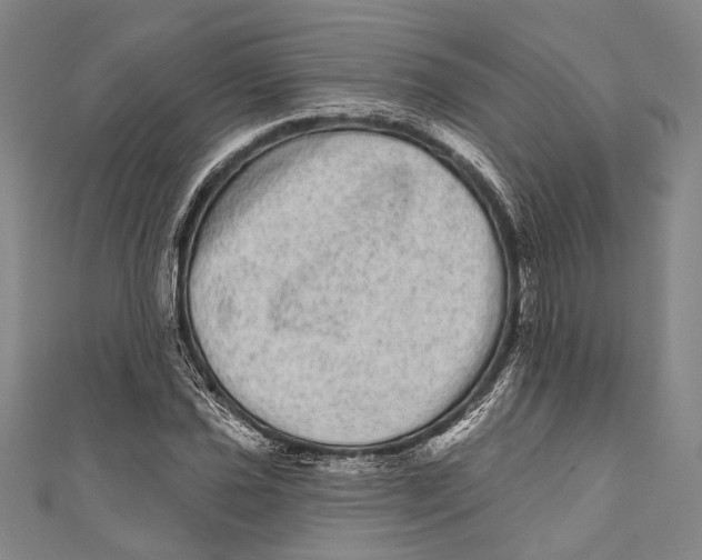 X0000110961021200907101323