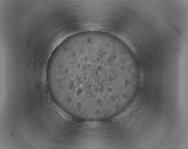 X0000110961023200907101323